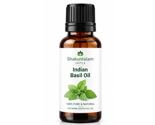Indian Basil Oil