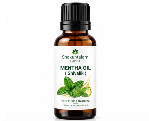 Mentha Oil Shivalik